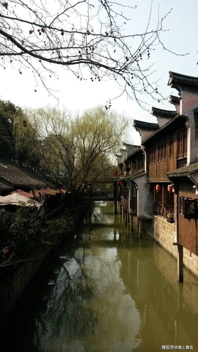 细胞分裂6